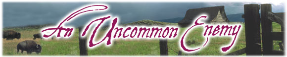 An Uncommon Enemy